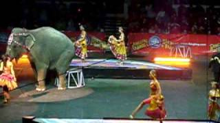 Ringling Bros and Barnum amp Bailey Zing Zang Zoom [upl. by Jacquette]