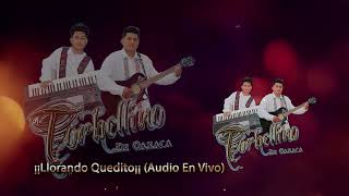 TORBELLINO DE OAXACA ¡¡Llorando Quedito¡¡ Audio En Vivo [upl. by Manuela164]