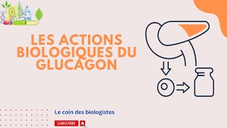 Les actions biologiques du glucagon [upl. by Okir]