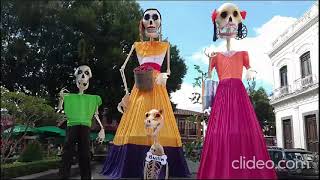 Día de Muertos en Coatepec cultura color y tradición [upl. by Licha364]