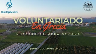 Así VIVIMOS nuestra PRIMERA SEMANA como VOLUNTARIOS en una ISLA GRIEGA  KOS [upl. by Groveman]