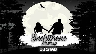 Snehithane X Akon Right Na Na X Get on The Floor DJ STAB K [upl. by Eelyk]