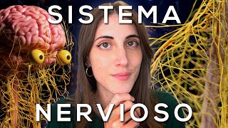 El SISTEMA NERVIOSO explicado FÁCIL [upl. by Bryce]