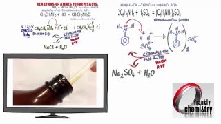 Amines 4 Reactions with acids to form Salts [upl. by Nedmac]