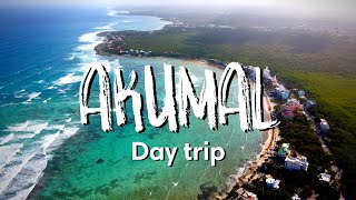 AKUMAL MEXICO  Best Things To Do In Akumal For A Day Trip From Playa [upl. by Ahsat]