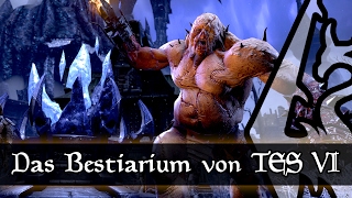 Die Bestien Tamriels  Elder Scrolls VI [upl. by Ytsur]