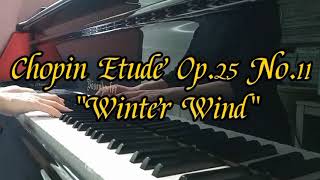 쇼팽 에튜드 Op25 No11 겨울바람 Chopin Etude Op25 No11 Winter Wind [upl. by Jos]