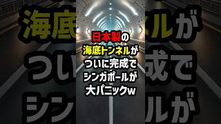 日本製の海底トンネルが遂に完全でシンガポールが大パニックw 海外の反応 [upl. by Nytsyrk]