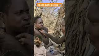 Eating roots plant africa hadzabetribe animals wildlife nature villagelife [upl. by Ellehcram]