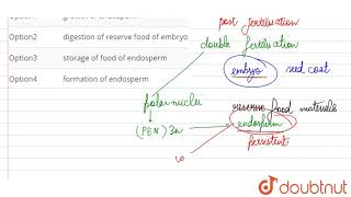 The aleurone layer of endosperm in monocot seed is related to [upl. by Ayiram]