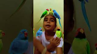 Main Tota Main Tota 🦜 maintota hamarijinisha hindirhymes nurseryrhymes [upl. by Jonna]