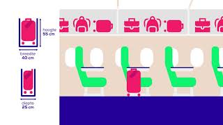 Transavia  Bagage  Uitleganimatie [upl. by Yard]