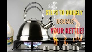 Steps to Quickly Descale Your Kettle  Result Is Affordable and Clean [upl. by Juliane744]