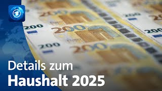 Etatentwurf für 2025 sieht Neuverschuldung vor [upl. by Natale758]