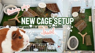 New Guinea Pig Cage Setup  Haul  Natural CampC Cage 🐹🍄🌿 [upl. by Eckart]