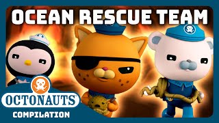 Octonauts  🐻‍❄️🐙 ANIMAL Ocean Rescue Team GO ⛑️🛟  3 Hours Full Episodes Marathon [upl. by Drawde]