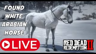 Found White Arabian Horse Red Dead Redemption 2 [upl. by Liza]