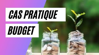 💵 COMMENT faire son BUDGET Prévisionnel ANNUEL  CAS PRATIQUE 👇 [upl. by Kandy]