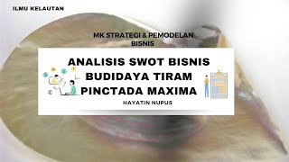 ANALISIS SWOT BUDIDAYA TIRAM PINCTADA MAXIMA [upl. by Kra962]