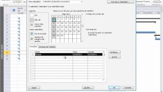 Project 2010  Calendario  Atribuindo Feriados [upl. by Odlopoel]