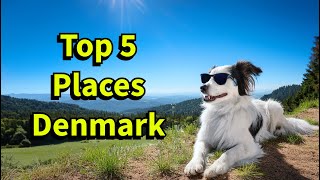 Top 5 Must Visit Places in Denmark for Travel and Culture [upl. by Ennaed]