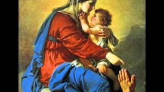 Salve Mater Misericordiae  Catholic Song of Praise to Mary [upl. by Hagar]