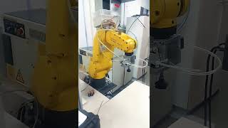 🤖 Manipulator robots in action industrialautomation industrialrobots robotdance [upl. by Leoni]