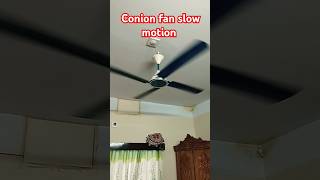 Conion fan slow motion🍊🍋🥭🍎🍓🍑🫐🥝🍅 [upl. by Hobart]