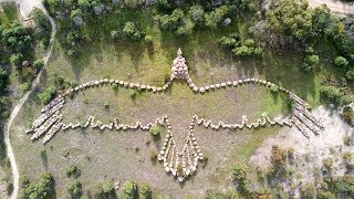 Bunjil Geoglyph created as a tribute to a mystical creature [upl. by Aja]