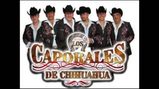 Los Caporales De Chihuahua La Gallinita Cumbia [upl. by Ahsinirt]