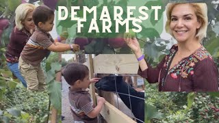 Demarest Farms in Hillsdale NJ Petting zoo and Apple picking [upl. by Oleg]