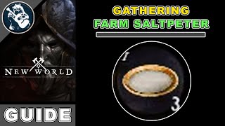 How to Get Saltpeter in New World  Where to Find its Locations in the Map [upl. by Arahsit]