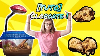 TUTO Cloporte COMMENT FAIRE UN TERRARIUM POUR CLOPORTE [upl. by Garber74]