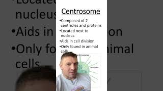 Centrosome vs Centrioles [upl. by Yhtir]