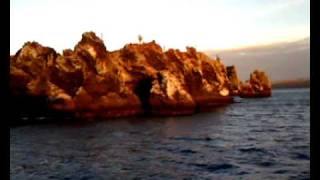 Galapagostv  Snorkelling in devils Crown  Floreana island [upl. by Cammy960]