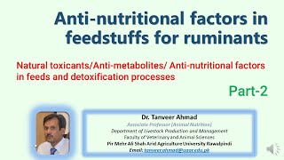 Anti Nutritional Factors in Feedstuffs Part2 Natural toxicants amp detoxification processes [upl. by Adnicul]