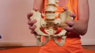 What is the SI Joint  Improving Sacroiliac Joint  MELT Method [upl. by Wymore]