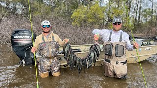 WADE Fishing For SPAWNING CRAPPIE Catch And Cook [upl. by Adlev]