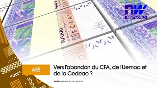 AES  vers labandon du CFA de lUEMOA et de la CEDEAO  P1 [upl. by Trinette]