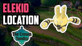 How to Catch Elekid  Pokemon Sword amp Shield DLC [upl. by Lidaa304]