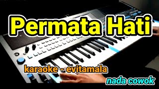 permata hati  evitamala  Karaoke Lirik Tanpa vocal by jampang pbg  psrs670 [upl. by Semajwerdna57]