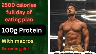 2500 calories full day eating plan with 100g Protein Dietplan for Bulk Muscle gain [upl. by Ettenirt]