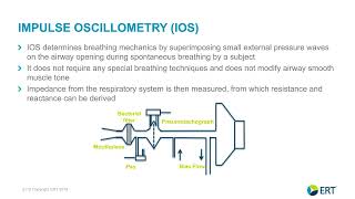 How to Position Oscillometry in Respiratory Research [upl. by Reerg]