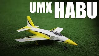 Flite Test  UMX Habu  REVIEW [upl. by Boor]