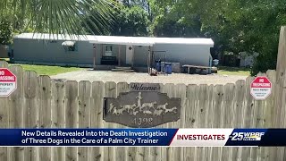 Florida dog trainer under investigation in three dog deaths closes business not answering calls [upl. by Marthe]