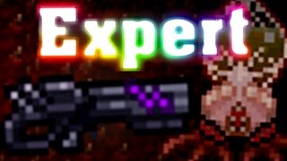 Hardmode Terraria Expert Mode 8 [upl. by Odlonyer]