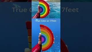 Underwater color test at 40ft12m 🎨 DJI Osmo Action 5 Pro 🎬 roamtobewild7801 [upl. by Ness]