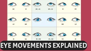 EYE MOVEMENTS EXPLAINED  Ductions versions vergence six cardinal gaze positions [upl. by Candida]