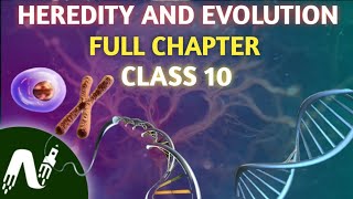 HEREDITY AND EVOLUTION ONE SHOT  HEREDITY AND EVOLUTION FULL CHAPTER CLASS 10TH short video [upl. by Reseda652]