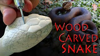 Carving a Cottonmouth Snake from Wood [upl. by Llewen]